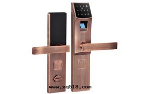 GXTWL-ZNMS-X1智能(néng)指紋門(mén)鎖